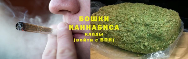 PSILOCYBIN Горно-Алтайск