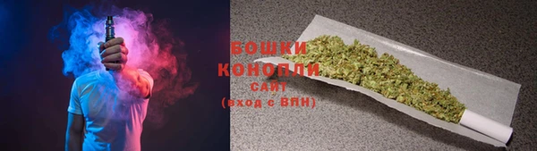 PSILOCYBIN Горно-Алтайск