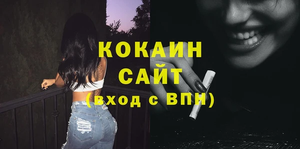 PSILOCYBIN Горно-Алтайск