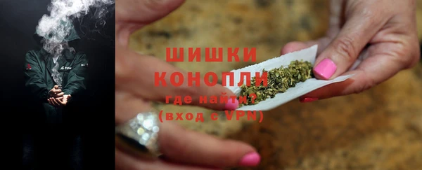 PSILOCYBIN Горно-Алтайск