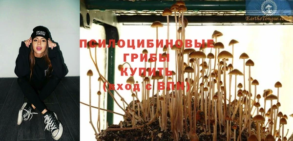 марки lsd Горнозаводск