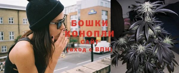 PSILOCYBIN Горно-Алтайск