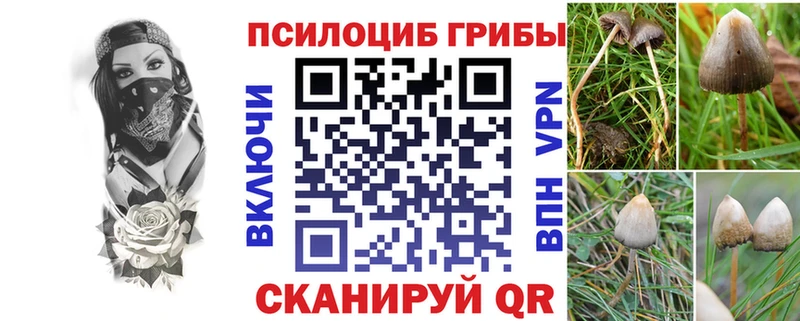 Псилоцибиновые грибы ЛСД  даркнет сайт  Джанкой 