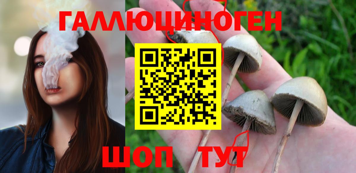 Псилоцибиновые грибы Cubensis Джанкой