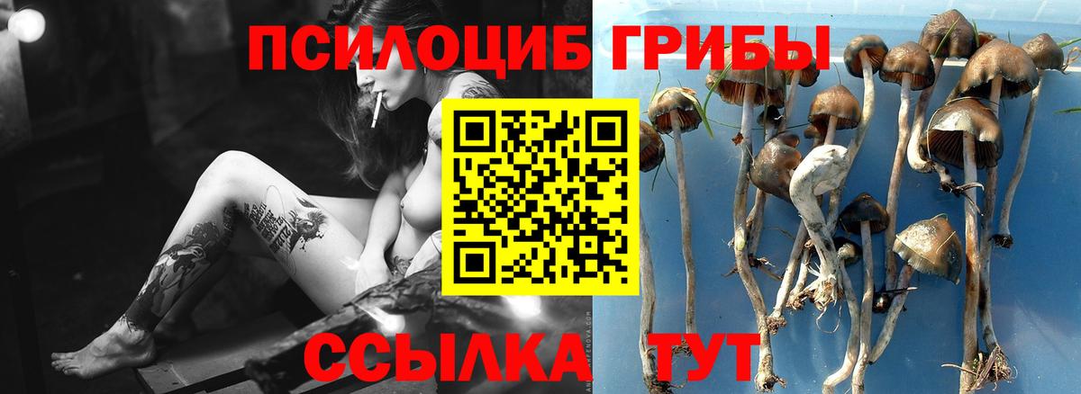 Псилоцибиновые грибы прущие грибы  сколько стоит  Джанкой  Галлюциногенные грибы прущие грибы  Вход с VPN 